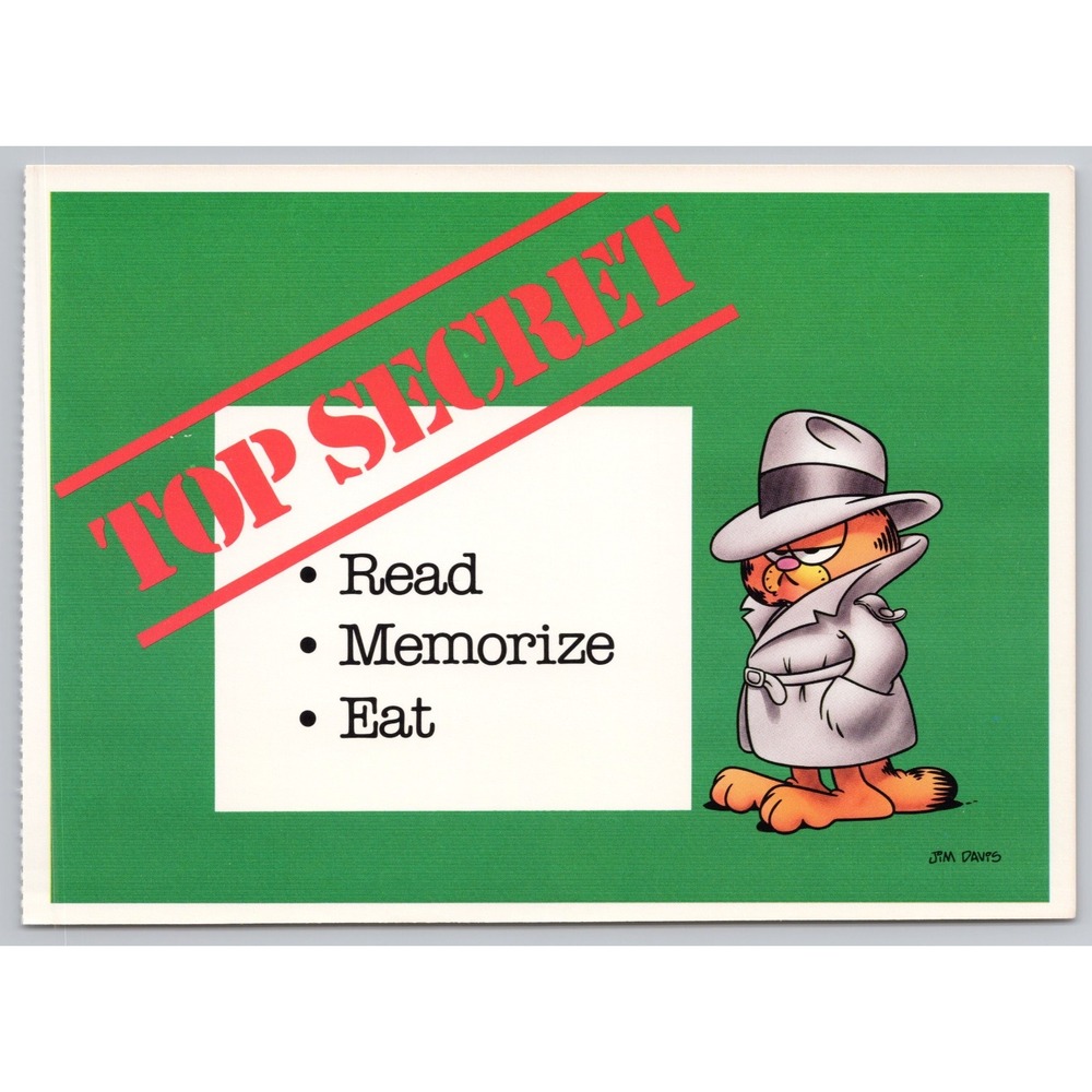 Vintage Garfield Top Secret Postcard Jim Davis 1978 Ballantine Books B1-22